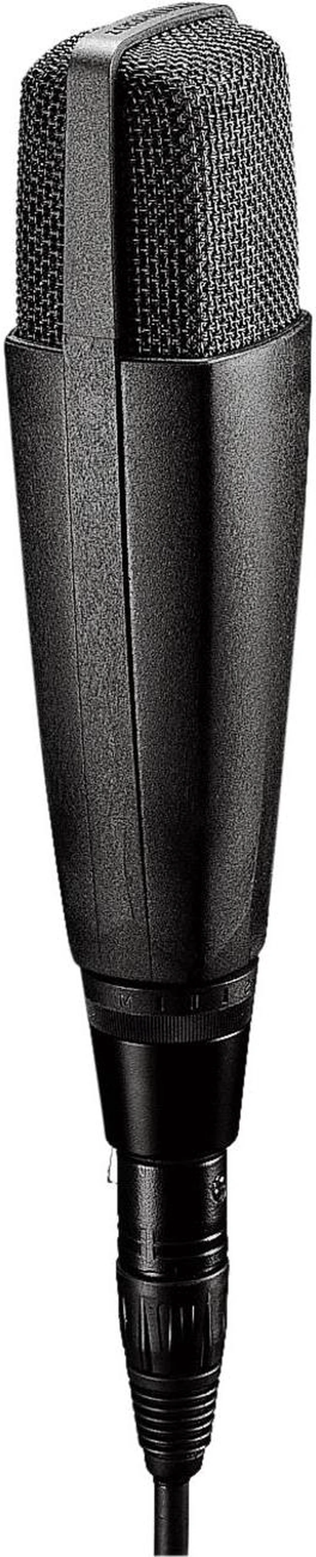 Main image of Sennheiser MD 421-II Microphone
