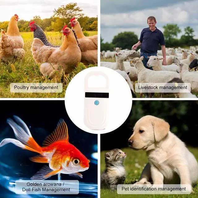 Alt view image 6 of 7 - Pet Microchip Scanner, Portable Animal Chip ID Scanner with OLED Display Screen, Rechargeable Data Storage Tag Scanner for FDX-B (ISO11784 / 11785) and EMID