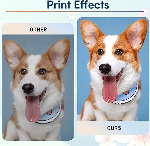 Alt view image 5 of 7 - SHOQ Compatible LC 401XL High Yield Black Ink Cartridges Replacement for LC401BK LC401XLBK,for MFC-J1010DW MFC-J1012DW MFC-J1170DW Printer,2Black