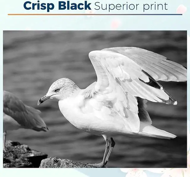 Alt view image 7 of 7 - SHOQ Compatible LC 401XL High Yield Black Ink Cartridges Replacement for LC401BK LC401XLBK,for MFC-J1010DW MFC-J1012DW MFC-J1170DW Printer,2Black