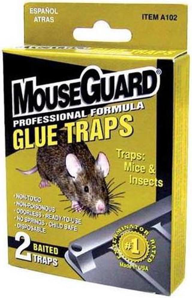 How Effective Are Glue Traps for Keeping Mice Out of Your Laurel