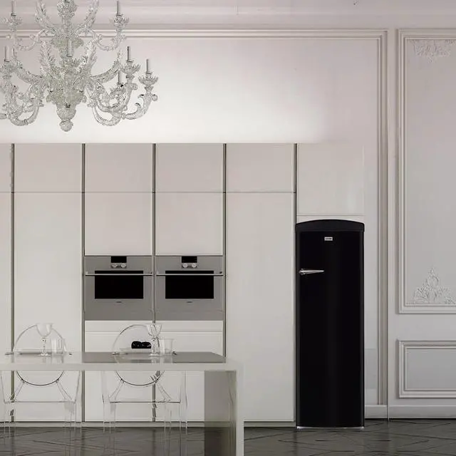 Alt view image 5 of 6 - 24 in. 11 cu. ft. Frost-free Classic Retro Single Door Refrigerator in Black