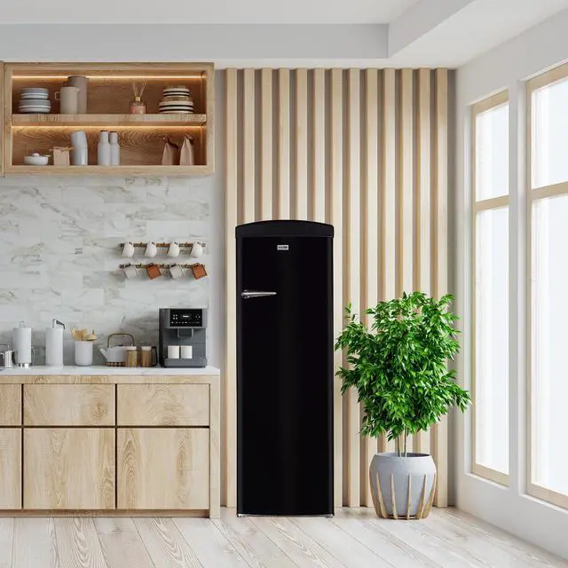 Alt view image 6 of 6 - 24 in. 11 cu. ft. Frost-free Classic Retro Single Door Refrigerator in Black