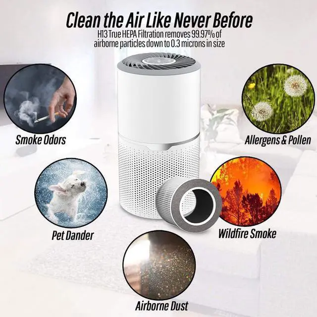 Alt view image 3 of 7 - Equator HEPA Air Purifier/Sterilizer PET Option ION Smoke Remover 269sf 110V