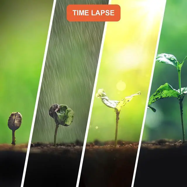 Alt view image 2 of 7 - Rexing TL1 Time-Lapse Camera 2.4 LCD 1920x1080 Full HD Video 110° Wide-Angle Lens 6 Month Battery Life 2W White LED Loop Recording, Storage up to 512GB For Photography,Construction,Nature Observation