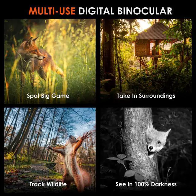 Alt view image 3 of 7 - Rexing B1 Pro - 4K IR Night Vision Digital Binocular, 4K(2160P) Resolution, IR Night Vision, Videos, Photos, 4x Digital Zoom, Weather Resistant