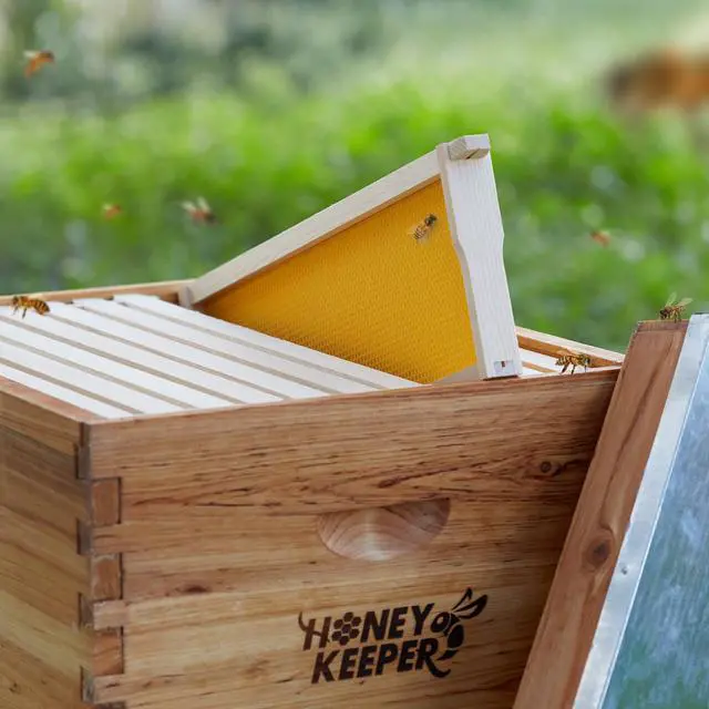 Alt view image 5 of 6 - Honey Keeper 10 Assembled Beehive Frames with Waxed Natural Foundations for Beekeeping, 6-1/4 inch