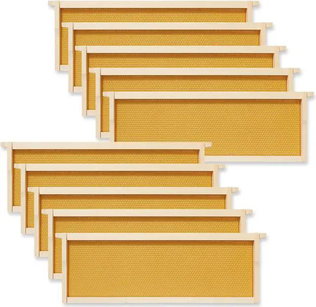 Main image of Honey Keeper 10 Assembled Beehive Frames with Waxed Natural Foundations for Beekeeping, 6-1/4 inch