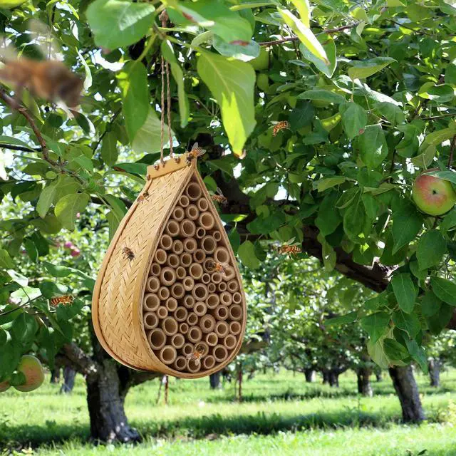 Alt view image 6 of 6 - Honey Keeper Mason Bee House, Natural Bamboo Teardrop Bee Hive