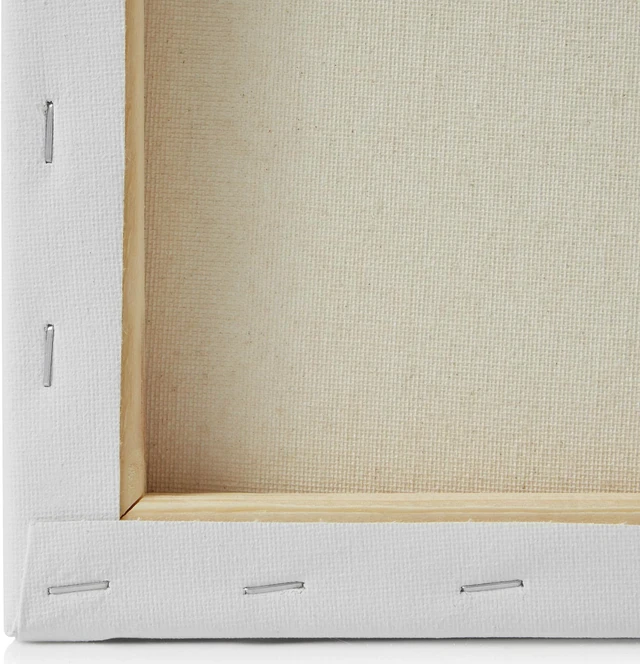 7 Elements (12 pack) Stretched Canvas for Painting - 8 x 10 Inch 100% ...