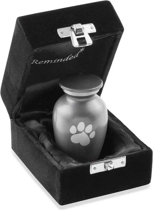 Main image of Reminded Pet Cremation Urns for Dog and Cat Ashes, Memorial Paw Print Urn - Extra Small Keepsake Gray