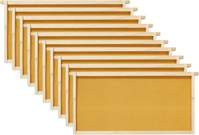 Alt view image 6 of 6 - Honey Keeper Beginner Beehive Kit, Fully Assembled and Painted Starter Set with Hive Body & 10 Frames, Green