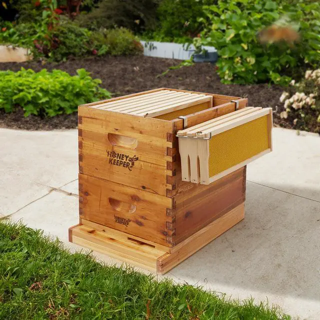 Alt view image 6 of 6 - Honey Keeper Beehive Frame Holder - Stainless Steel Hive Frame Hanger Perch, Pack of 2