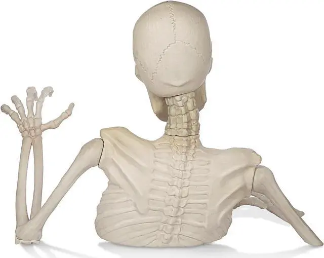 Alt view image 4 of 6 - BOO BOX 35"  Groundbreaking Skeleton  - Outdoor Halloween Decorations for Porch or Yard