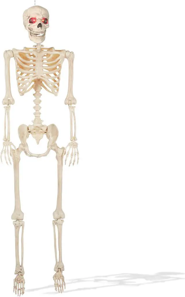 Main image of BOO BOX 5' Animated Full Size Skeleton, Halloween Decorations for Outside, Porch or Yard with Light-up Eyes and Speaker