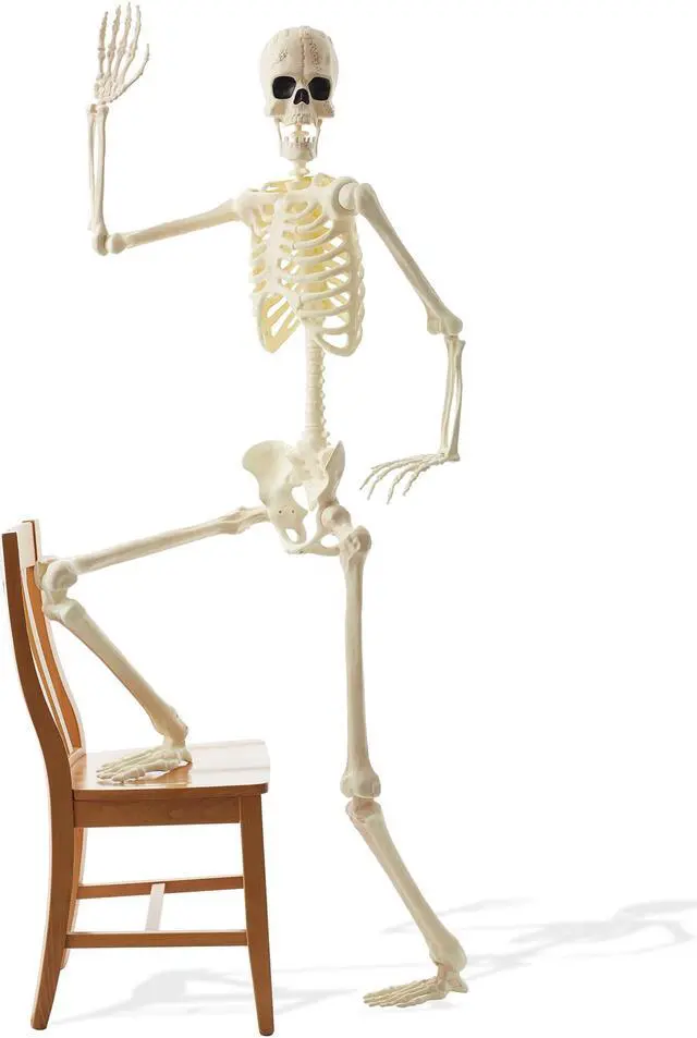 Alt view image 6 of 6 - BOO BOX 74" Franken Skeleton, Life Size Posable Scary Halloween Skeleton Decoration for Outdoor, Porch, or Yard