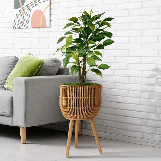 Alt view image 3 of 6 - Casafield Indoor Planter with Stand, Natural Floor Planter with Wood Legs, Large Plant Pot Cover with Liner for Houseplants, Flower Pots and Trees