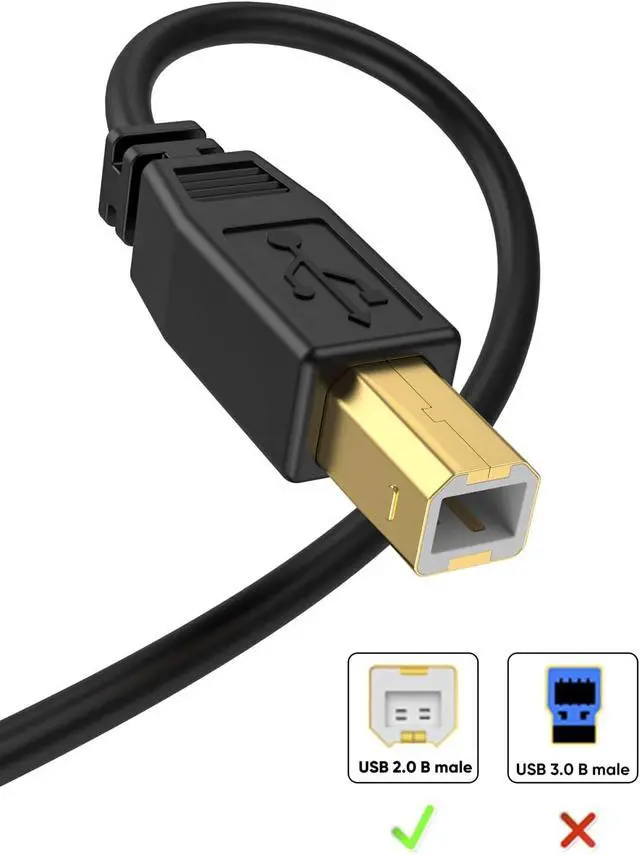 Alt view image 5 of 6 - CableCreation 10 FT USB 2.0 A to B Printer Cable - High Speed for HP, Brother, Epson, Canon, More - 3M