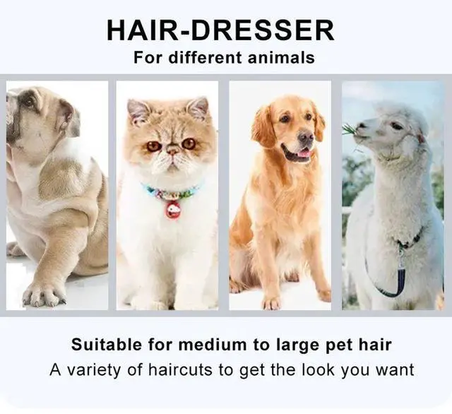 Alt view image 4 of 7 - Professional Pet Trimmer Cat Shaver Dog Hair Clipper Cutting