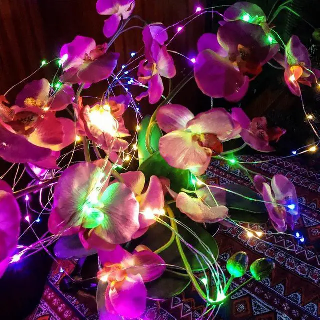 Alt view image 4 of 7 - Fuji Labs 120L Mini LED 2-Meter 6-Strip Multi-Color Multi-Mode Battery Powered String Light