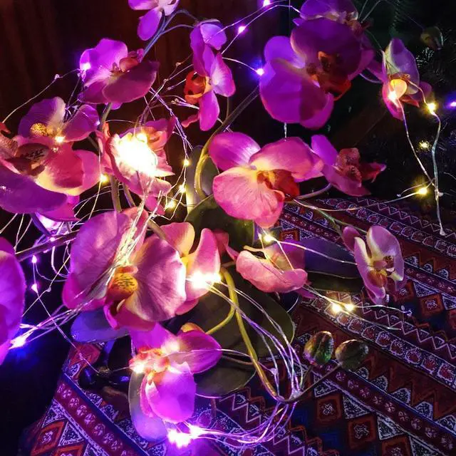 Alt view image 6 of 7 - Fuji Labs 120L Mini LED 2-Meter 6-Strip Multi-Color Multi-Mode Battery Powered String Light