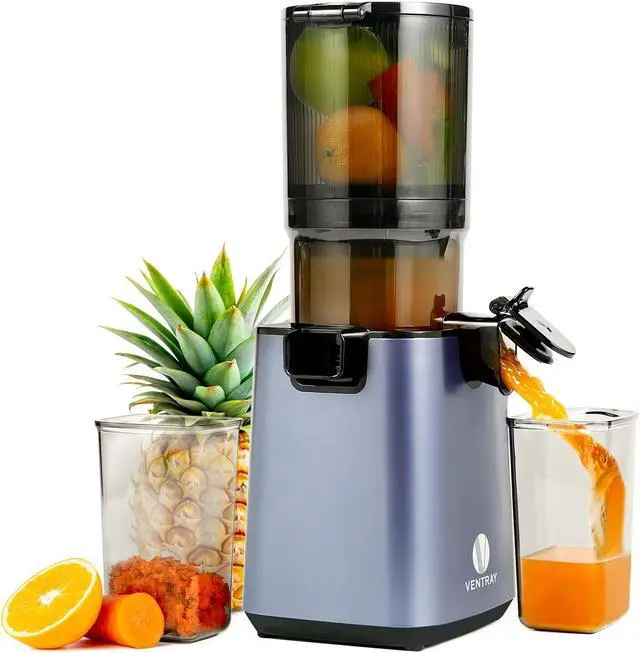 Main image of Ventray Cold Press Juicer, Juicer Machine with 5.1 Inch Large Feed Chute for Whole Fruits & Vegetables, 250W Power Masticating Juicer, Easy to Clean High Juice Yield for Batch Juicing - Purple
