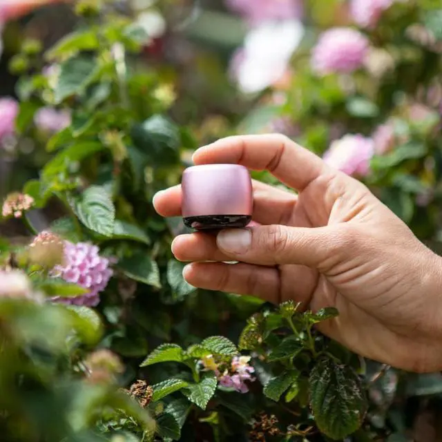 Alt view image 5 of 7 - Micron 500GB SSD Storage Upgrade for OptiPlex 7010 Desktop, SFF, MT, USFF  Modernize & Speed Up PC Setup Bundle with Faster 8GB Memory, Micro Speaker, MK270 Wireless Keyboard & Mouse & Gel Mouse Pads