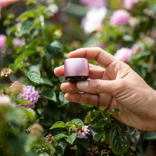 Alt view image 5 of 7 - Micron 500GB SSD Storage Upgrade for OptiPlex 3020 SFF, Mini Tower  Modernize & Speed Up Your PC Setup Bundle with Faster 8GB Memory, Micro Speaker, MK270 Wireless Keyboard & Mouse & Gel Mouse Pads