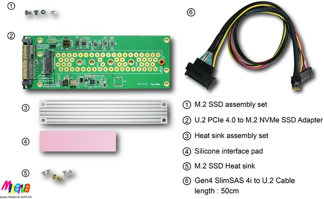 Alt view image 7 of 7 - PCIe 4.0 SlimSAS 4i (SFF-8654) to U.2 (SFF-8639) Cable, 50cm & U.2 to M.2 NVMe Adapter for GP-ASM2NE6500GTTD M.2 SSD
