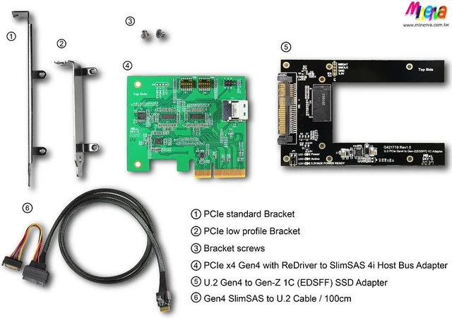 Alt view image 6 of 6 - PCIe x4 Gen4 with ReDriver to SlimSAS 4i (SFF-8654) AIC Adapter & SlimSAS 4i to U.2 (SFF-8639) Cable, 100cm & U.2 to Gen-Z 1C(EDSFF) Adapter KIT