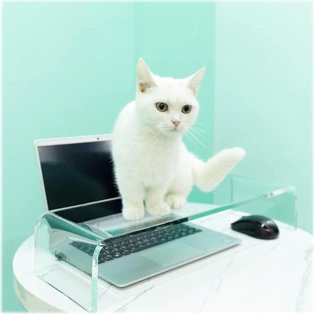 laptop keyboard cat protector