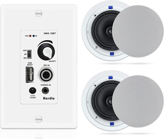 Flush best sale ceiling speakers