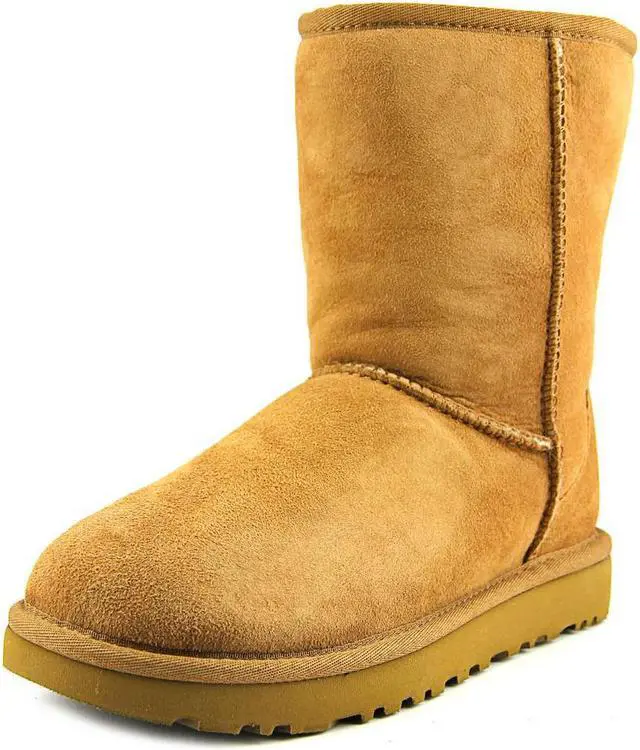 tan classic uggs