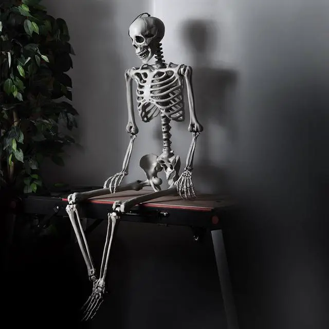 Alt view image 5 of 7 - Costway 5.4ft Halloween Christmas Skeleton Life Size Realistic Full Body Hanging with Movable Joints 63 Inches