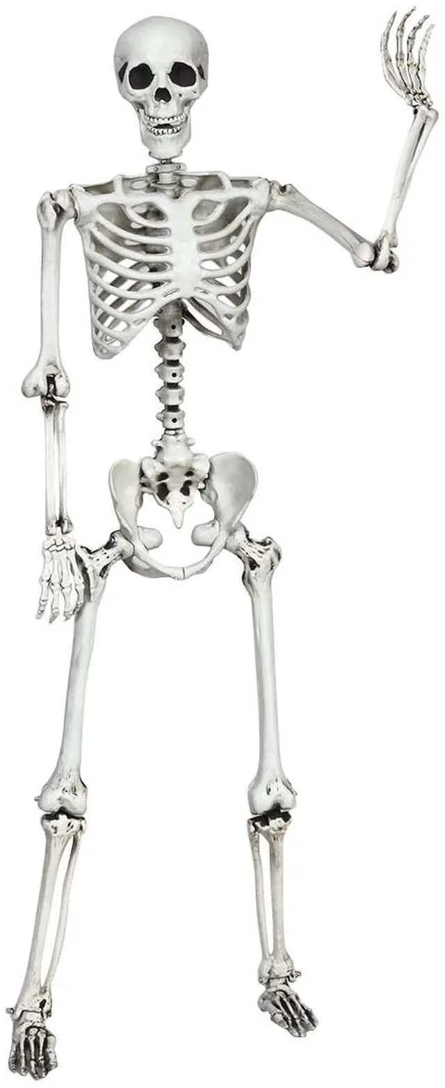 Alt view image 2 of 7 - Costway 5.4ft Halloween Christmas Skeleton Life Size Realistic Full Body Hanging with Movable Joints 63 Inches