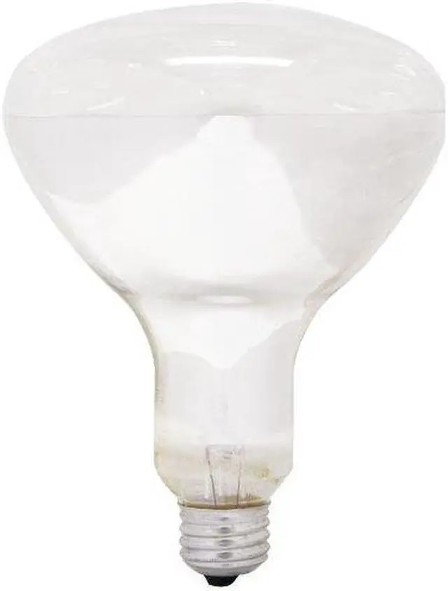 Main image of GE 21256 - 300R/3FL R40 Reflector Flood Spot Light Bulb