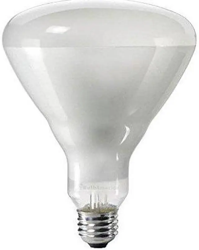 Main image of Philips 143438 - 300BR/FL BR40 Reflector Flood Spot Light Bulb