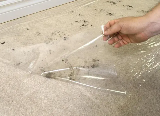 Alt view image 12 of 12 - Surface Shields CS24200L 24-In. x 200-Ft. Carpet Shield, Clear