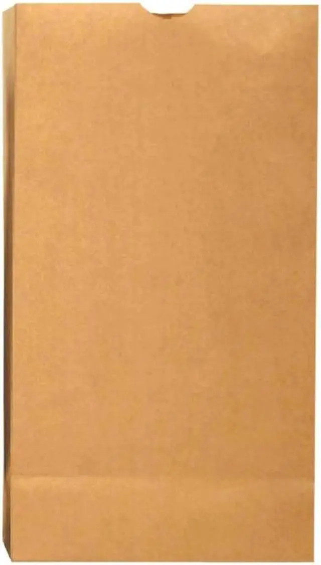 Main image of Bag Grocery No25 40lb Kr 1c/1s
