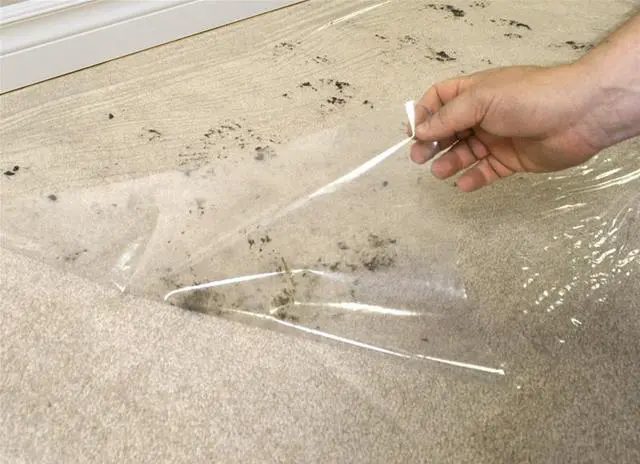 Alt view image 3 of 12 - Surface Shields CS24200L 24-In. x 200-Ft. Carpet Shield, Clear