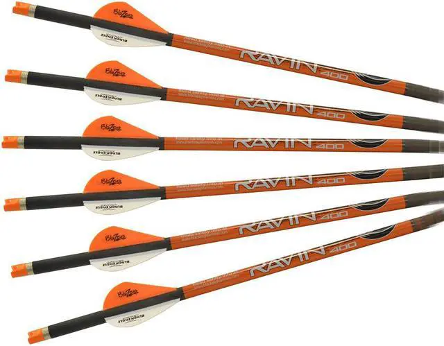 Main image of Ravin Crossbows .001 400gr. Premium Arrows (6-pack)