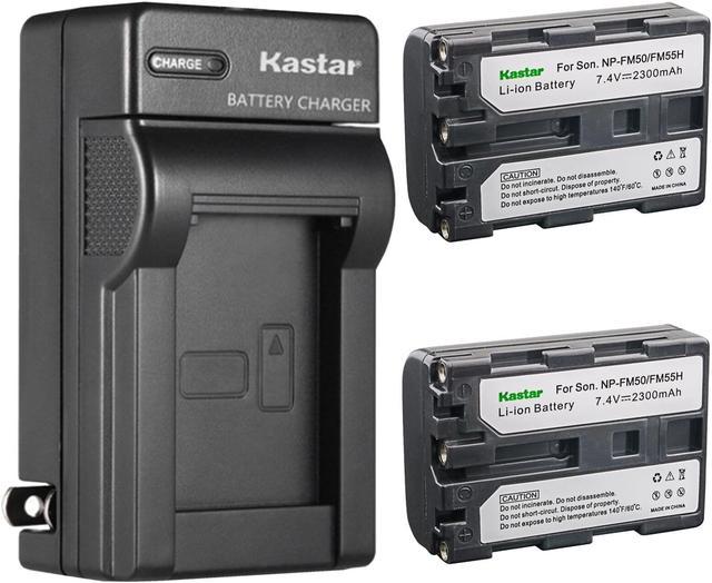 Kastar 2-Pack Battery and AC Wall Charger Replacement for Sony DCR