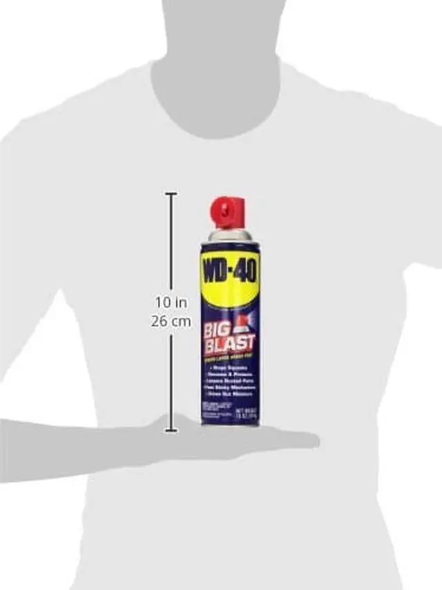 Alt view image 5 of 11 - WD-40 490095 Big Blast®, Lubricant, Aerosol Can, 18 Oz.