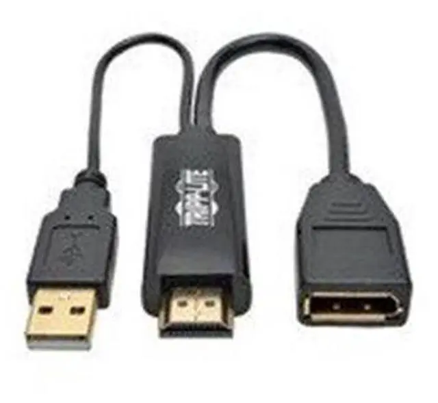 Main image of Tripp Lite P130-06N-DP-V2 HDMI & DVI Displayport Converter USB Power