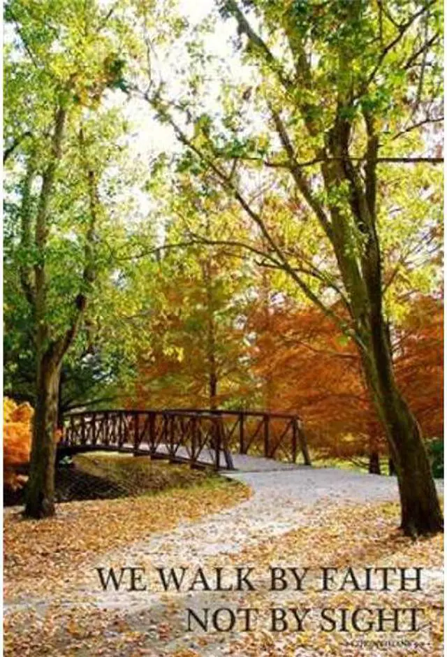 Main image of Sun Dance Graphics PDX10972JLARGE We Walk by Faith Poster Print by Gail Peck, 20 x 28 - Large