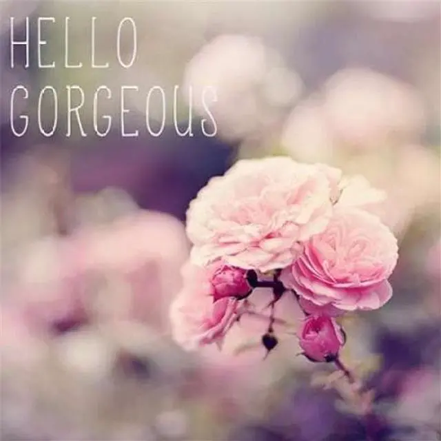 Main image of Sun Dance Graphics PDX10143ASMALL Hello Gorgeous Poster Print by Sarah Gardner, 12 x 12 - Small