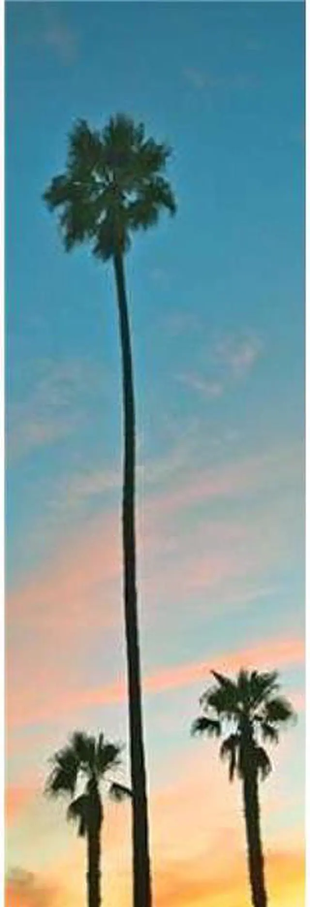 Main image of Sun Dance Graphics PDX9449MSMALL Sunset Palms Poster Print by Gail Peck, 8 x 24 - Small