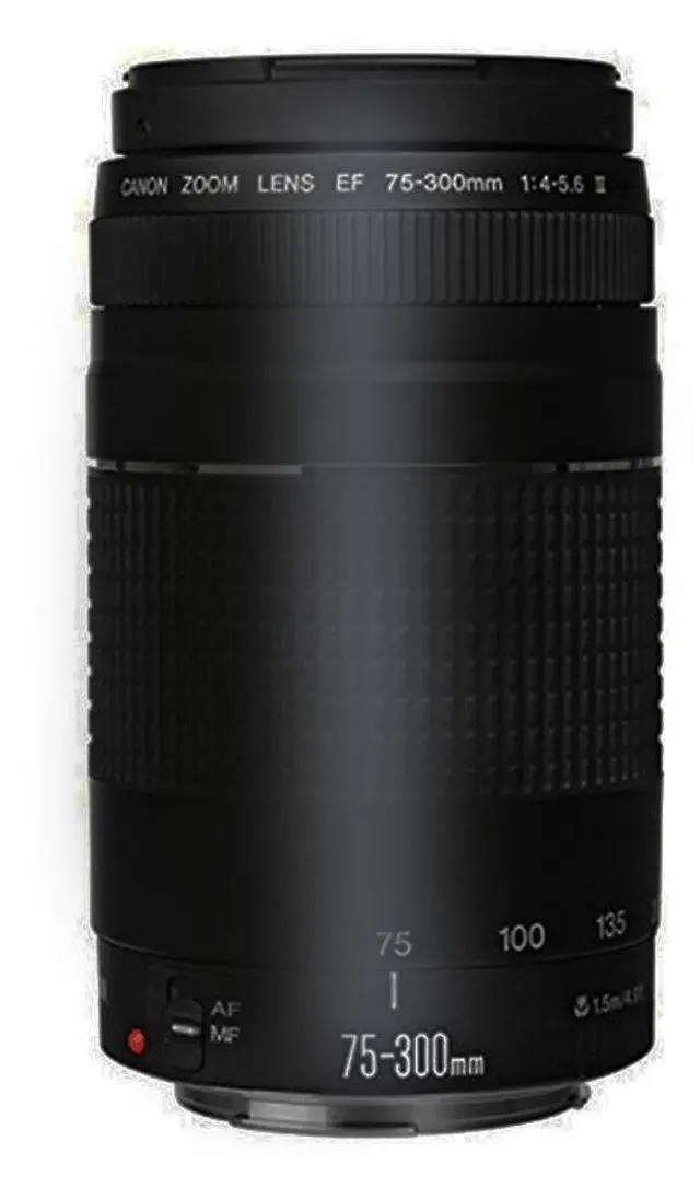 Alt view image 6 of 6 - Canon EOS Rebel T100 with EF-S 18-55mm f/3.5-5.6 III Lens and EF 75-300mm f/4.0-5.6 III Lens "REFURBISHED"