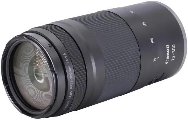 Alt view image 4 of 7 - Canon RF 75-300mm f/4-5.6 Zoom Lens Ultimate Photography Bundle