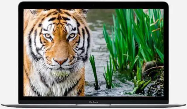 Alt view image 2 of 5 - Apple 12" MacBook 1.2GHz Intel Core m3 Dual Core Processor 8GB RAM, 256GB SSD - Space Gray